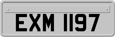 EXM1197