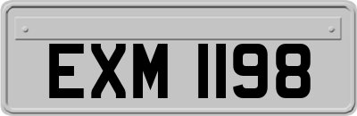 EXM1198