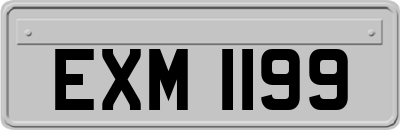 EXM1199