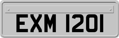 EXM1201