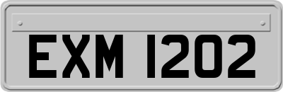 EXM1202