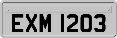 EXM1203