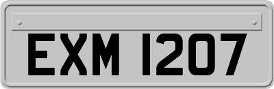 EXM1207