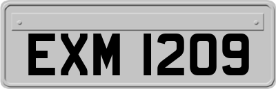 EXM1209