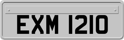 EXM1210