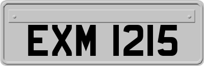 EXM1215