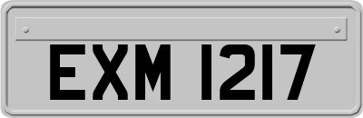 EXM1217