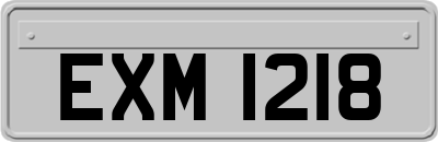 EXM1218