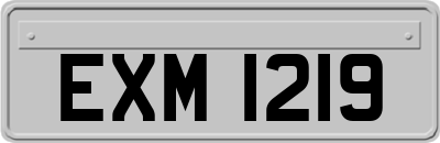 EXM1219