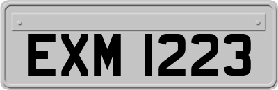 EXM1223