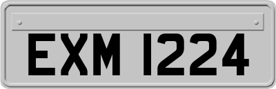 EXM1224
