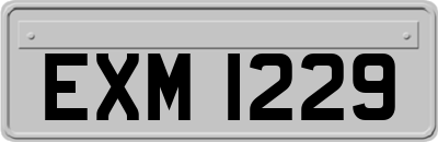 EXM1229