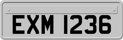 EXM1236