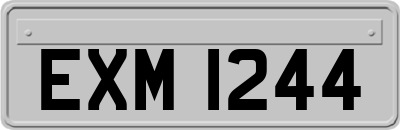 EXM1244
