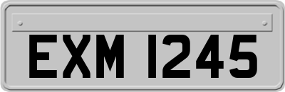EXM1245