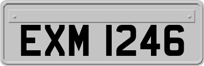 EXM1246