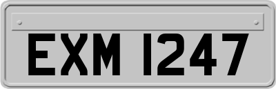 EXM1247