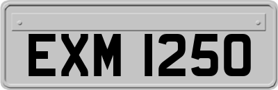 EXM1250