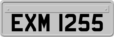EXM1255