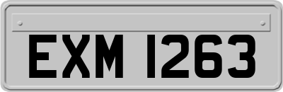 EXM1263