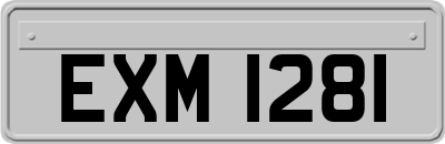 EXM1281