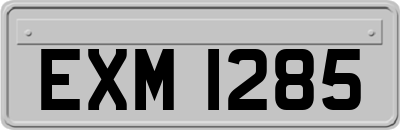 EXM1285