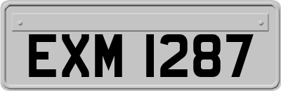 EXM1287