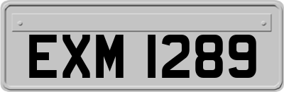 EXM1289