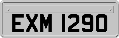 EXM1290