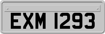 EXM1293
