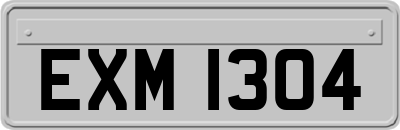 EXM1304