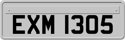 EXM1305