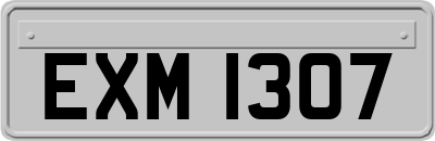 EXM1307