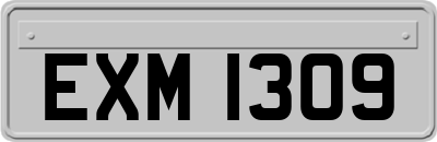 EXM1309
