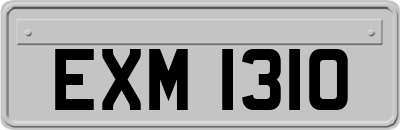 EXM1310