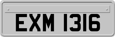 EXM1316