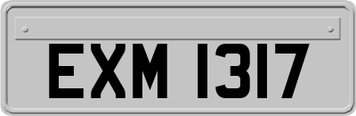 EXM1317