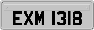 EXM1318