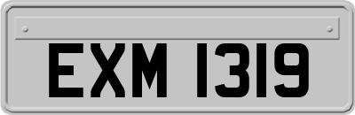 EXM1319