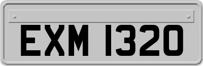 EXM1320