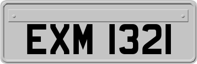 EXM1321