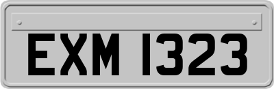 EXM1323