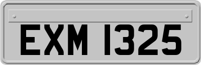 EXM1325