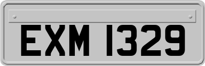 EXM1329