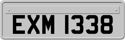 EXM1338