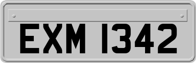 EXM1342