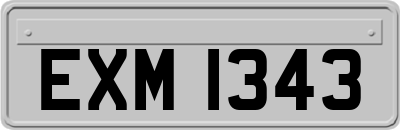 EXM1343
