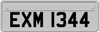 EXM1344