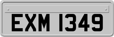 EXM1349