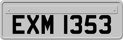 EXM1353